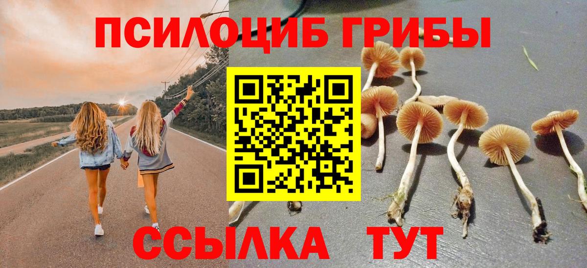 Галлюциногенные грибы Psilocybe  Вход с VPN  Челябинск 